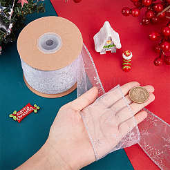 Transparent Single Face Chiffon Ribbon for Christmas&nbsp;OCOR-WH0071-008A