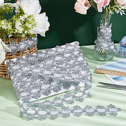 9M Metallic Lace Trims&nbsp;SRIB-WH0011-095B