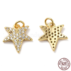 925 Sterling Silver Micro Pave Cubic Zirconia Charms&nbsp;STER-I010-36G