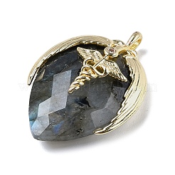 Natural Labradorite Pendants&nbsp;G-U019-01G-02