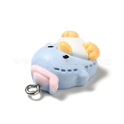 Opaque Resin Pendants&nbsp;RESI-P021-01B