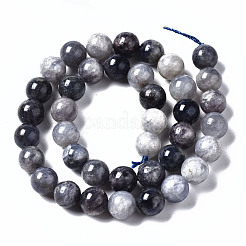 Natural Iolite Beads Strands&nbsp;G-N328-50C-01