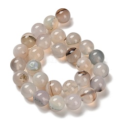 Natural Agate Beads Strands&nbsp;G-G175-A01-01