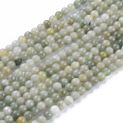 Natural Myanmar Jade/Burmese Jade Beads Strands&nbsp;G-K300-H02-A