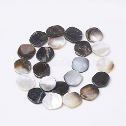黒リップシェルビーズ連売り  五角形  ブラック  17~18x15~16x2~3mm  穴：1mm  約22個/連  14.9インチ&nbsp;X-BSHE-T002-02