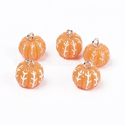 Resin Charms&nbsp;RESI-TAC0002-21
