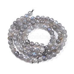 Natural Labradorite Beads Strands&nbsp;G-R475-025C