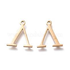 304 Stainless Steel Charms&nbsp;STAS-K215-24G