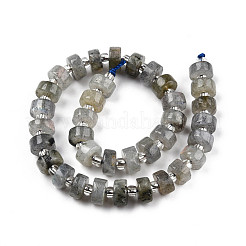 Natural Labradorite Beads Strands&nbsp;G-N327-07A