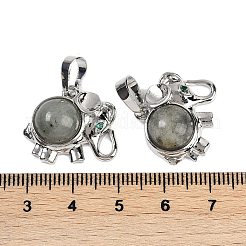 Natural Labradorite Pendants&nbsp;G-I374-A-P13