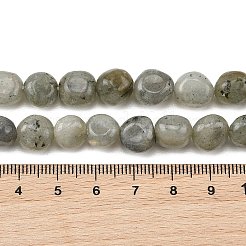 天然石ラブラドライトビーズ連売り  ナゲット  タンブルストーン  9~12x8~10x3~9mm  穴：1mm  約36~41個/連  15.08''~15.87''（38.3~40.3センチメートル）&nbsp;G-P623-A03-02