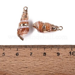 電気メッキされた金色の真鍮の縁取り、天然の螺旋状の貝殻ペンダント  巻貝チャーム  チョコレート  20~27x7~10x7~9mm  穴：1.6~1.8mm&nbsp;SSHEL-N042-40