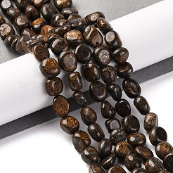 Natural Bronzite Beads Strands&nbsp;X-G-G146-A18-01
