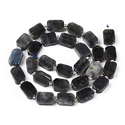 Natural Larvikite Beads Strands&nbsp;G-T138-04