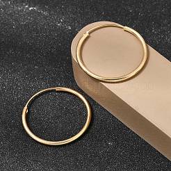 Brass Hoop Earrings&nbsp;EJEW-G474-01G-04