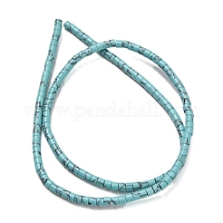Synthetic Turquoise Beads Strands&nbsp;G-P608-A14-01