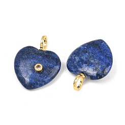 Natural Lapis Lazuli Pendants&nbsp;G-D104-01G-12