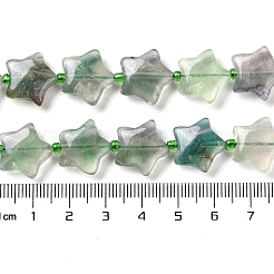 天然石蛍石ビーズ連売り  シードビーズで  膨らんだ星  14~15.5x15~16x6.5~7mm  穴：1mm  約24~25個/連  15.55''~15.95''（39.5~40.5センチメートル）&nbsp;G-NH0005-012