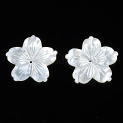ナチュラルホワイトシェルビーズ  花  23.5~24x24.5~25x2~5mm  穴：1mm&nbsp;SSHEL-N027-131E-01