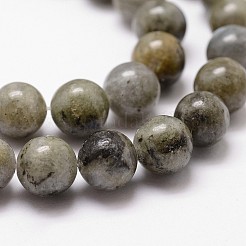 Natural Labradorite Bead Strands&nbsp;G-G735-29-8mm