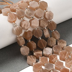 天然石サンストーンビーズ連売り  六角  シードビーズで  8.5~9x8.5~10x4~5mm  穴：1mm  約17~18個/連  7.48''（19センチメートル）&nbsp;G-P534-A09-01
