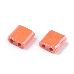 FGB 2-Hole Glass Seed Beads&nbsp;SEED-S031-L-ST130