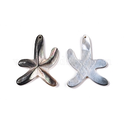 Sea Shell Pendants&nbsp;SSHEL-Q297-56