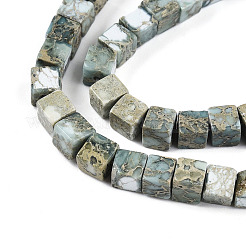Natural Variscite Beads Strands&nbsp;G-T140-41B