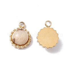 Natural Mixed Stone Charms&nbsp;STAS-H168-02G