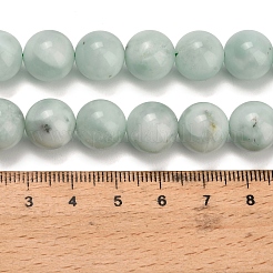 Glass Beads Strands&nbsp;G-L642-B18-12mm