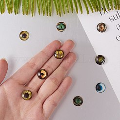 Glass Cabochons&nbsp;GLAA-SZ0001-06