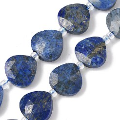 Natural Lapis Lazuli Beads Strands&nbsp;G-D316-A05