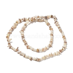 天然淡水シェルビーズ連売り  チップ  古いレース  1~8x5~17x5~8mm  穴：0.9~1mm  30.31~31.50''（77~80センチメートル）&nbsp;X-G-M205-85B
