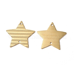 Ion Plating(IP) 304 Stainless Steel Connector Charms&nbsp;LS-STAS-C066-07G