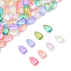 100個透明ガラスチャーム  涙の形をした花びら  ミックスカラー  13x8x5.5mm  穴：1.2mm&nbsp;GLAA-FS0002-18