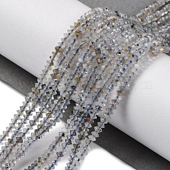 天然石ラブラドライトビーズ連売り  ソーサービーズ  2.5x1.5mm  穴：0.5mm  約276個/連  15.35''（39センチメートル）&nbsp;G-G188-A01-01