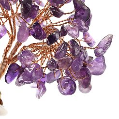 Natural Amethyst Chips Money Tree Decorations&nbsp;DJEW-C016-01B