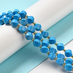 Dyed Natural Howlite Beads Strands&nbsp;G-G023-B01-02A