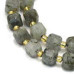 Natural Labradorite Beads Strands&nbsp;G-I376-D31-01