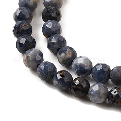 Natural Sapphire Beads Strands&nbsp;G-G259-D06-4mm
