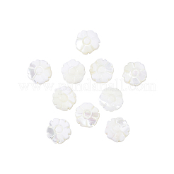 Natural Shell Beads Strands&nbsp;SSHEL-CJ0001-09