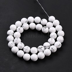 Synthetic Howlite Beads Strands&nbsp;G-E568-04C