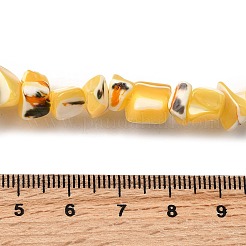 Natural Trochid Shell/Trochus Shell Beads Strands&nbsp;SHEL-B003-02H