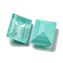 Glass Rhinestone Cabochons&nbsp;RGLA-G021-01D-361DE
