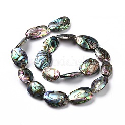 Natural Abalone Shell/Paua Shell Beads&nbsp;SSHEL-E379-1