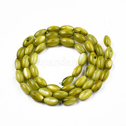 Natural Freshwater Shell Beads Strands&nbsp;SHEL-N026-212-B04