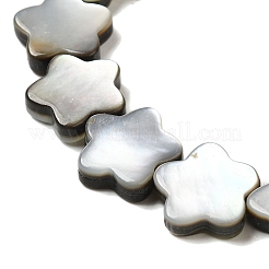 天然ブラックリップシェルビーズ連売り  スモモの花  花  12x12x3mm  穴：1mm  約33個/連  14.57''（37センチメートル）&nbsp;SHEL-M021-02A