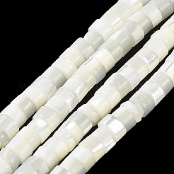 天然ニシキウズガイシェルビーズ連売り  フラットラウンド/ディスク  ヒシビーズ  多面カット  フラミンゴ  3.5~4x2~2.5mm  穴：0.8mm  約171~173個/連  16.14~16.38''（41~41.6センチメートル）&nbsp;BSHE-E030-09B-01