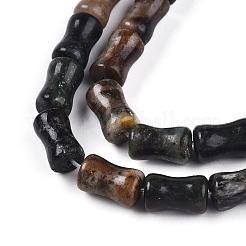 Natural Biotite Beads Strands&nbsp;G-T140-92