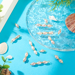 12個 3スタイル 天然養殖淡水真珠ライスペンダント  ビーズチャーム  真鍮のループを有します  アザミ  ゴールドカラー  12~32x5mm  穴：2~3mm  4個/スタイル&nbsp;PALLOY-TA00378